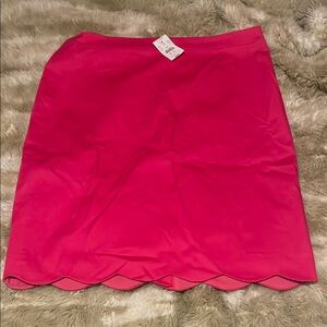 NWT jcrew factory skirt